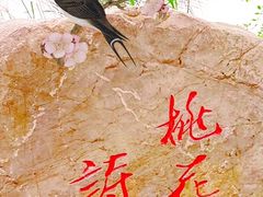 -重庆彩云湖湿地公园