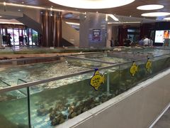 水产区-天下春花园酒店(大东店)
