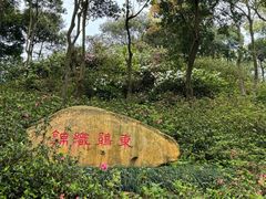 -梧桐山风景名胜区