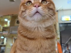-平行世界·猫咖(首经贸店)