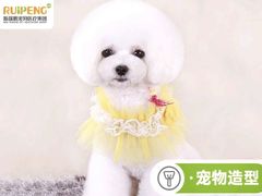 -美联众合爱康动物医院•复杂内科•肿瘤科•牙科•腔镜诊疗中心