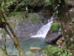 -首正鲜货火锅(威尼斯一店)