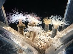 -西安曲江海洋极地公园