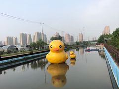 -菊园百果园