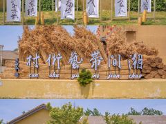 -盐城丹顶鹤湿地生态旅游区