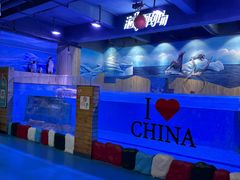-顺德南宏海立方海洋公园