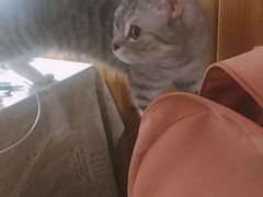 -隅cafe(傅厚岗店)