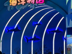 -上海海昌海洋公园