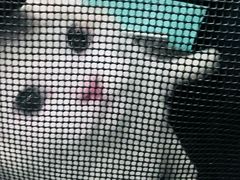 -纳吉亚猫专科动物诊疗中心(蒋宅口分院)