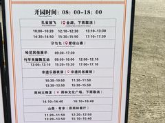 -西双版纳原始森林公园