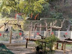 -重庆动物园·东二门售票处