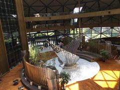 -上海滴水湖皇冠假日酒店