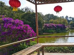 -南国桃园旅游度假区