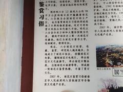 -南京市民俗博物馆(甘熙宅第)