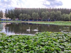 -吉林大学(前卫南区)