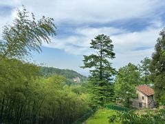 -莫干山风景区
