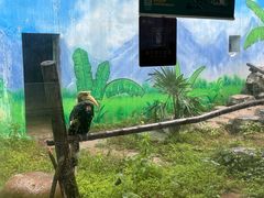 -杭州野生动物世界