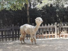 -南昌动物园
