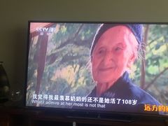-陈三娃泡姜鸡