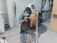 -中农大我爱我爱动物医院·核磁CT·猫病·24小时夜诊中心(石佛营店)