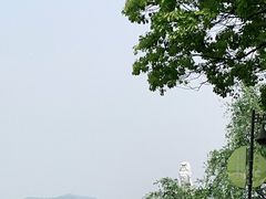-东钱湖小普陀景区