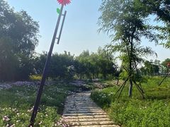 -佛手湖郊野公园