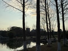 -洋湖国家湿地公园