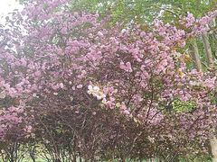 -长春公园(普阳街道)