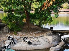 -清迈夜间动物园