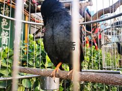 -新月斋(豆瓣胡同店)