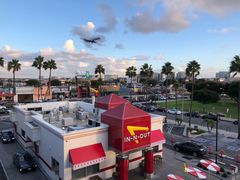 -In-N-Out Burger(LAX)