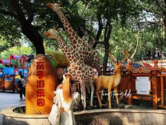 -晓港公园