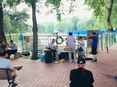 -黄村公园