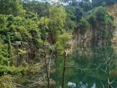 -武吉知马自然保护区