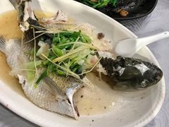 姜葱蒸水库瘦身鲩鱼-粤·向群饭店(龙津东路总店)