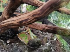 -南宫五洲植物乐园