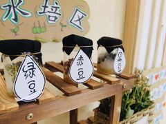 -蒙田森·蒙特梭利幼儿园(锦西园区)