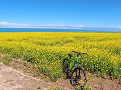 -青海湖国家重点风景名胜区