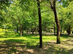 -国家植物园南园