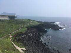 -涉地可支