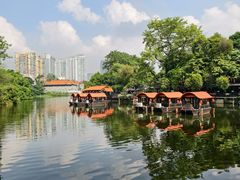 -侨美·唐荔园·40年地道粤菜