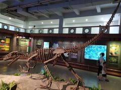 -自贡恐龙博物馆
