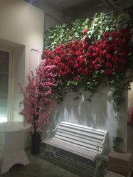 -戛纳印象摄影(潮拍定制馆)