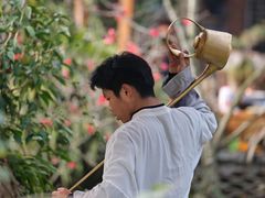-青城甲(青城山店)