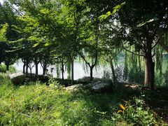 -马家湾湿地公园
