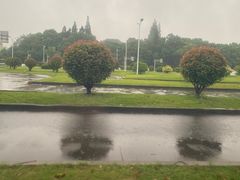 -胜华驾校·小猫学车(银都店)