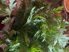 -捞王猪肚鸡火锅(昆山店)