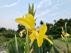 -中国科学院华南植物园
