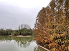 -上海海湾国家森林公园