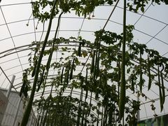 -狼牙山风景区